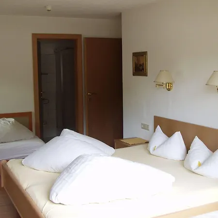 Apartment Steinbock - Ski-in & Ski-out *